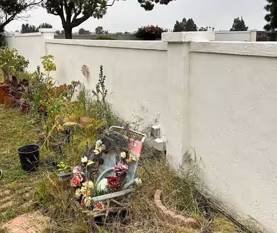 A stucco wall in front of a garden